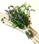 Large Thyme Sachet eCondolence 600x686