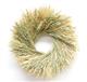 Blonde Wheat & Avena Oats Wreath