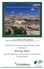 A-Circle-Of-Trees-In-The-Holy-Land