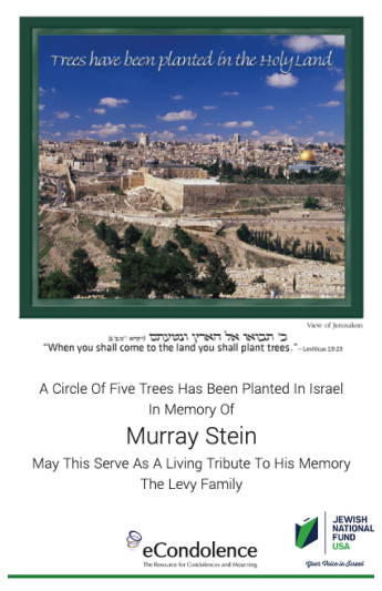 A-Circle-Of-Trees-In-The-Holy-Land
