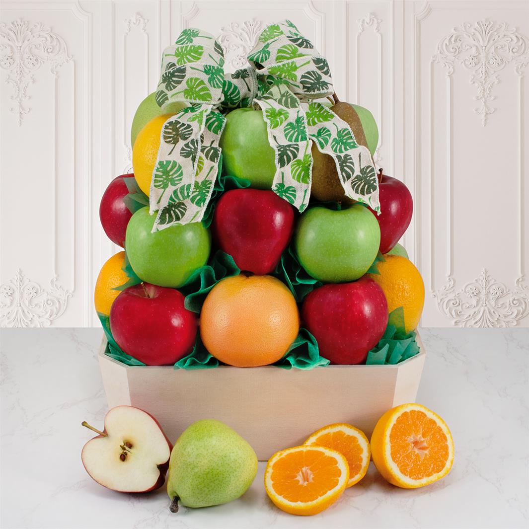 616KP_01-fancyfruit-24-v2
