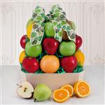 616KP_01-fancyfruit-24-v2