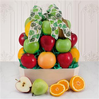 616KP_01-fancyfruit-24-v2